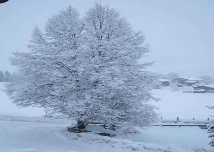 アパート In Near Lift